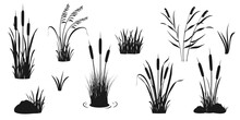 Silhouette Elements Of Reeds And Aquatic Vegetation. Tall Marsh Grass For Design.