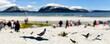sola beach norway sunny day depth of field helicopters seagulls lots of people no blur de noise seapunk 