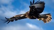 Eagle is flying in the blue sky. Generative AI