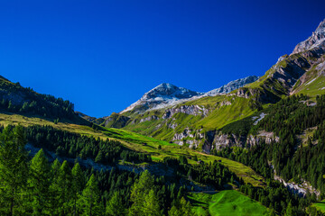 Wall Mural - Swiss Alps mountains in summer