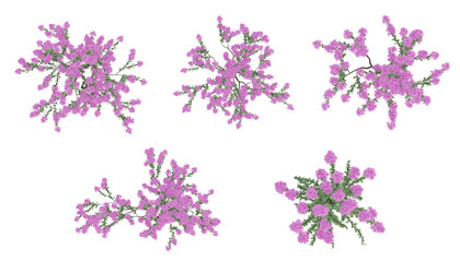 Sticker - Pink trees on top view isolated on transparent background, 2d plants, 3d render illustration.