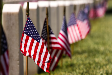 Wall Mural - Arlington National Cemetery, Washington D.C.