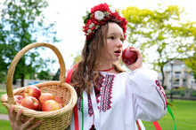 Autumn Harvest Girl Looks Into Distance Holds Large Basket Of Apples In Hands. Delicious Fruits Ukrainian Folk Clothes Vyshyvanka Wreath With Ribbons And Red Flowers Nature Seasons Grow Apples