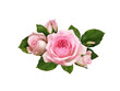 canvas print picture - Pink rose flowers in a floral arrangement isolated on white or transparent background