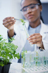 Woman, plant and scientist in laboratory with test tubes, experiment or research on leaves, growth or agriculture study. Science, biotechnology worker or education studying ecology or climate change