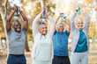© Wesley JvR/peopleimages.com - Fitness, weights and senior people in park for healthy body, wellness and active workout outdoors. Retirement, sports and men and women weightlifting for exercise, training and pilates for wellbeing
