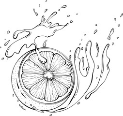 Half a lemon with juice or water splash. Liquid drops. Vector illustration in hand drawn sketch doodle style. Line art ingredient for fresh juice isolated on white. Close up fruit coloring book