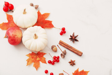 Wall Mural - autumn natural decor on white marble background