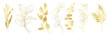 Hand Drawn Linear Gold Christmas Plants. Botanical Line Art Silhouette Golden Leaves, Golden Linear Floral Leaves Set.  Illustration In Linear Style, Graphic Clipart For Wedding Invitation