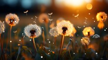 Field Full Of Dandelions, Creating A Visually Enchanting Backdrop With Soft, Out-of-focus Orbs Of Light. (Generative AI)