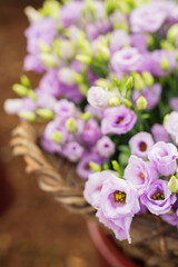 Wall Mural - Closeup of a basket full of purple lisianthus flowers