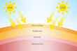 UVA and UVB radiation in sunlight which is harmful to the skin