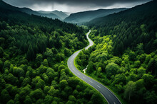 Road Leading Through Lush Pine Tree Green Forest, Aerial Drone View Landscape