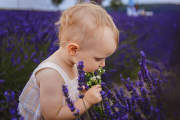 Canvas Print - Her favorite part of the lavender flowers was smelling them and enjoying their smell