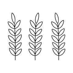  Hand drawn linear vector illustration of a flower
