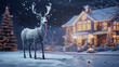 Deer standing in front of a house all lit up with christmas lights on snow night