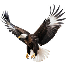 Flying Eagle Bird, Isolated On Transparent Background