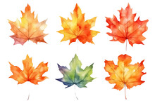 Watercolor Set Of Beautiful Colorful Autumn Leaves