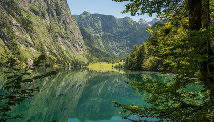 Wall Mural - Beautiful view of the Obersee in Germany, Summer view between the pine trees on the beautiful lake.