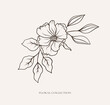 Floral botanical black line art bouquet. Flower wildrose and leaves line art hand drawn arrangement. Vector illustration for wedding invitation save the date card, flower shop