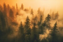 A Powerful Photograph Of A Forest Engulfed In Thick Smoke From Wildfires, Emphasizing The Urgent Need For Forest Fire Prevention And Conservation. Generative Ai