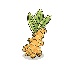 Ginger hand-drawn illustration. Ginger. Vector doodle style cartoon illustration