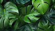 © INHYE GAL - Tropical monstera leaves background. Generative ai