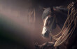 Beautiful horse on the background of the sun's rays. AI generated