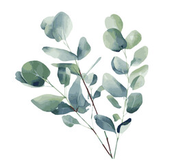 Wall Mural - Branch with leaves watercolor eucalyptus