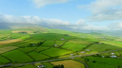 Wall Mural - Aerial view of endless lush pastures and farmlands of Ireland's Dingle Peninsula