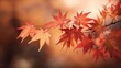 © Clown Studio - web banner design for autumn season and end year activity with red and yellow maple leaves with soft focus light and bokeh background