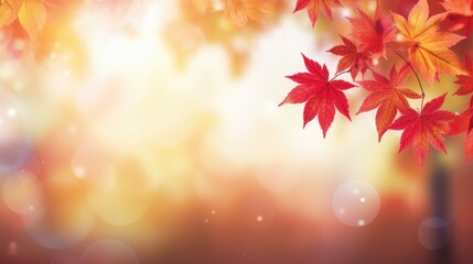 Leinwandbilder - web banner design for autumn season and end year activity with red and yellow maple leaves with soft focus light and bokeh background