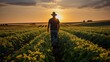 A rear photo of a farmer, standing in a large soybean field, generative AI