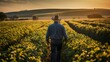 © Thumbs - A rear photo of a farmer, standing in a large soybean field, generative AI