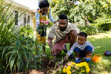 African American Woman Holding Flowers While Father And Son Digging Dirt On Grassy Land In Yard