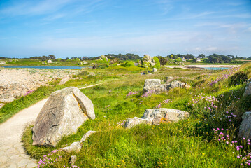 Wall Mural - View at the Patch in Plougrescant Back rocks in France