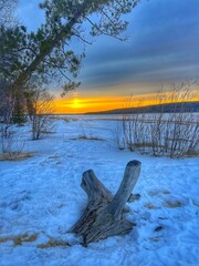 Poster - Winter landscape during sunset