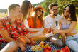 © maxbelchenko - Group of young people  having fun while drinking beer,  talking at picnic party outside city on warm summer day. Vacation, picnic, friendship or holliday concept.