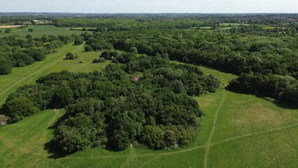 Poster - Aerial footage flyover wood trees with large lawns