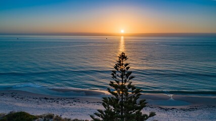 Sticker - Silhouette of a tree near the sandy beach at a spectacular sunset