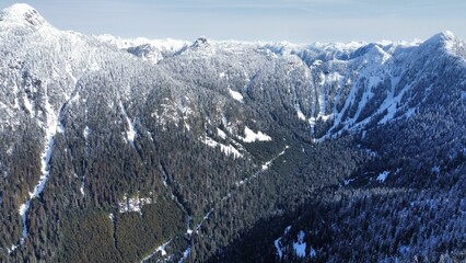 Poster - Mesmerizing view of a winter scene of snow-capped mountains and evergreen pine trees