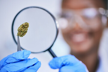 Poster - Scientist, analysis of marijuana bud and magnifying glass, science study for medical research and ecology in lab. Person with weed plant, CBD and check cannabis test sample for scientific experiment