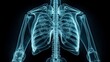 Lung radiography concept. Generative AI