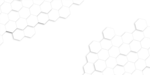 Abstract white and gray hexagon technology lines background. Abstract white and grey color hexagonal geometric background with copy space. Abstract white lines background.