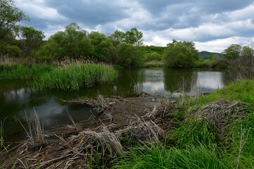 Canvas Print - Flusslandschaft im Evros Delta Nationalpark // River Landscape in the Evros Delta National Park