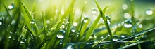 An Illustration Of Fresh Grass And Sparkling Morning Dew In Warm Sunlight, With A Shallow Focus, Capturing The Beauty Of Outdoor Nature. Created With Generative AI Technology