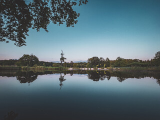 Sitting beneath the tree at the calm lake.