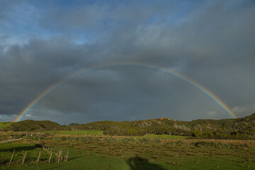  ニュージーランド　ファラリキ・ビーチへと向かう道中で見えた虹