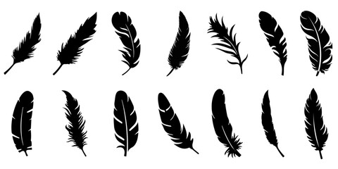 Wall Mural - feather icons. set of black feather icons isolated. feather silhouettes.