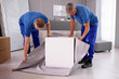 © Andrey Popov - Professional Furniture Movers Wrapping